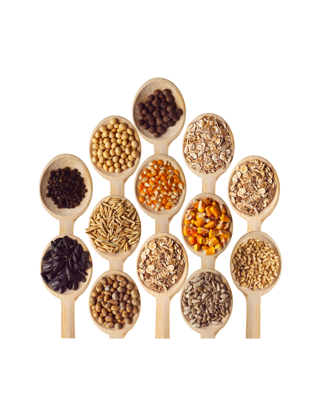 Every home needs to have a garden, help home owners produce one crop they can switch away from buying in grocery stores