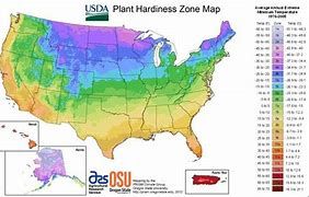 "From The Roots" refers to USDA Zone map
